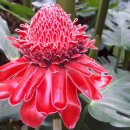 후포식자재마트 이미지