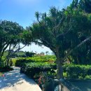 리버풀빌라 | 발리 신혼여행 최고의 숙소, 아야나 빌라스 오션뷰 풀빌라 후기(락바,리버풀 후기도 곁들인,,)