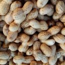 뜨락농장 이미지