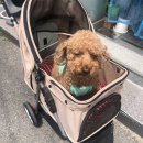 아구통통 이미지