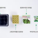 모던플랜츠 이미지