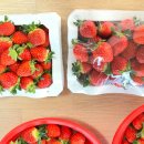 희수농장 이미지