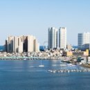 도미니클라바 이미지