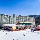 웰리힐리 스키장 | 강원도 스키장 리조트 웰리힐리파크 예약 이용 후기 스위트B 35평