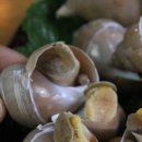 주문진항유리횟집 이미지