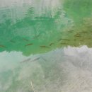 이동공원 이미지