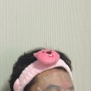 마이따분식 | 나들이의향연