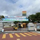 의성초등학교 이미지