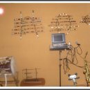 구석농장 이미지