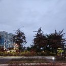 청라국제도서관 이미지