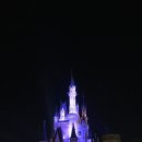 심쿵PC랜드 이미지