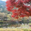 연둔리 숲정이 | 전남 화순 여행 연둔리 숲정이 도곡 빵집 브레드백