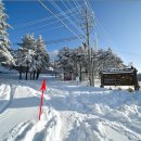 ***돌산악회 제 208차 평창 대관령 선자령(1157m) 2024년1월14일 산행*** 이미지