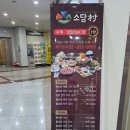 소담촌수색
