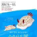 담은제주법인