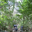 경남합천 매화산 남산제일봉(1,010m) 산행(060910) 이미지