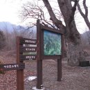 삼태산(875m) 충북 단양 등산지도 이미지