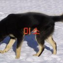 (주)백합사 이미지