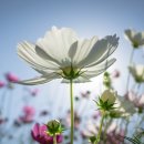 감포1리 이미지