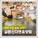 천곡사 계곡 공중화장실 | [거창] 금원산자연휴양림 계곡만 보고 오면 후회하는 이유 (문바위·마애삼존불 필수)