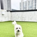 아이멍그라운드 네이버블로그