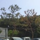 한터낚시공원