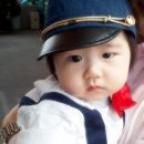 우형