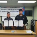 제이제이 인터내셔널 이미지