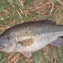 청도천3 이미지