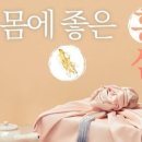 명가 홍삼을 담다