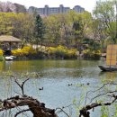 혁신도시중앙공원 이미지