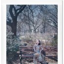 맑은소리 이미지