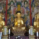 신흥사 극락보전 목조아미타여래삼존좌상 (보물1721호 이미지