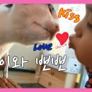 태희정육점 네이버블로그