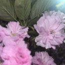 오성2목장 이미지