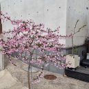 벌때다방