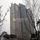 동화길-3 Daum카페