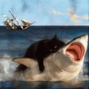 하늘토끼 이미지