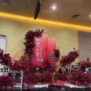 일로-5호 이미지