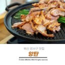 식만로 | 강서구 맛집 가족외식 및 식사장소로 괜찮았던 앙탄 다녀온 내돈내산 후기