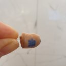 김선생보청기 이미지