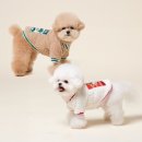 포독스1 이미지