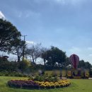 장성 꽃 화원 이미지