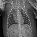 서현동물병원 이미지