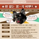 행운관광㈜ | 2024 울산펫페어 울산 유일 반려동물박람회 이벤트 총정리