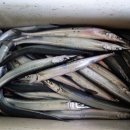 고흥이야기 이미지