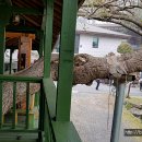 최치원 유적지 이미지