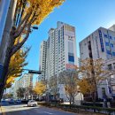 KT사하지점 이미지