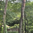 리솜 포레스트 제천 S30 빌라 아이랑 5인 1박 후기 ㅣ 레스트리 비교 12시 사전체크인 방법