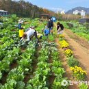 이상태농장 이미지